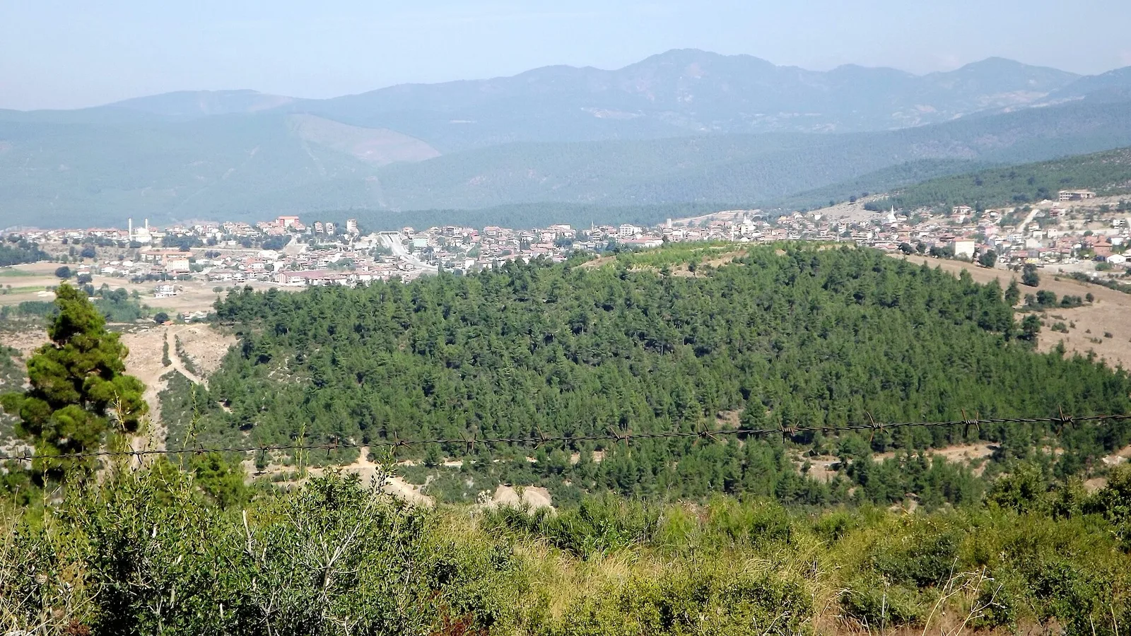 Bursa'da Düğün Yemeğinden Zehirlenen 100'den Fazla Kişi Hastaneye Başvurdu