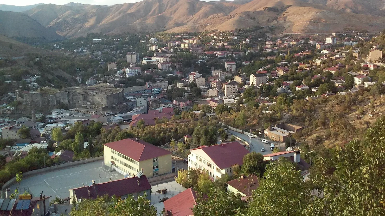 Bitlis'te Durdurulan Araçta 6,5 Kilo Skunk Ele Geçirildi