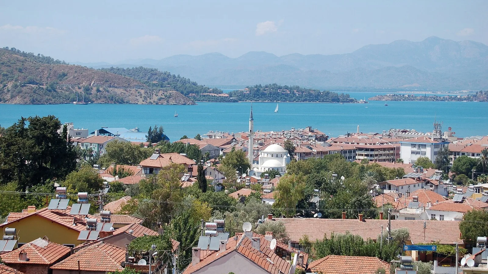 Fethiye'de Ormanlık Alanda Yangın Çıktı