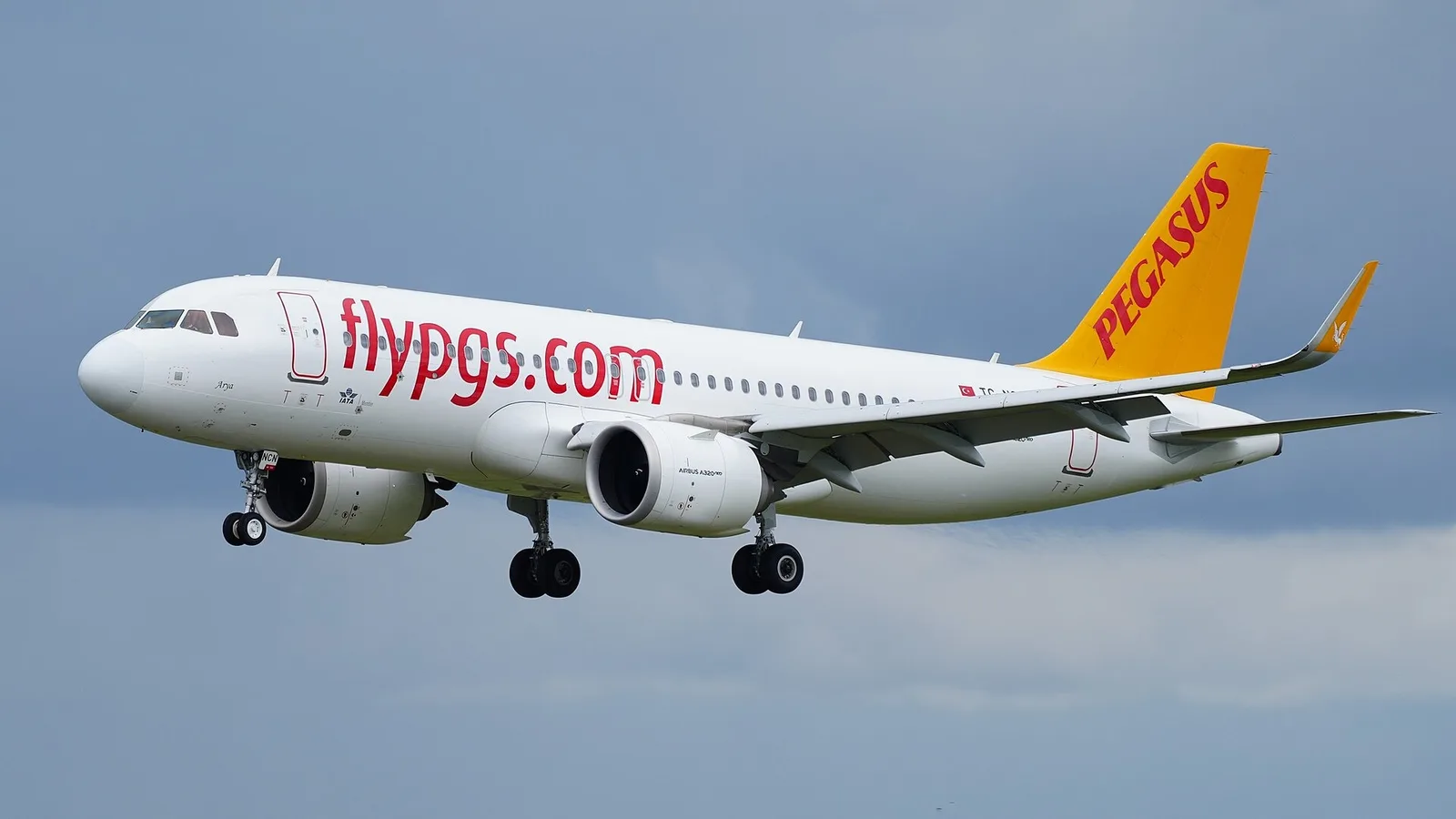Girne Açıklarındaki Gemi Faciasının Ardından Pegasus'tan KKTC'ye Ek Sefer