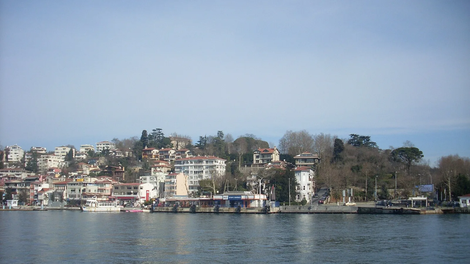 Marmara Denizi kıyısında ağaçlı tepeler ve deniz kenarı konutları.