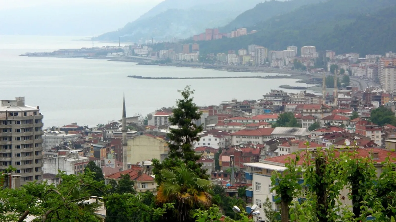 Gürcistan'dan Kalkan Hafif Uçak Rize Açıklarında Denize İndi