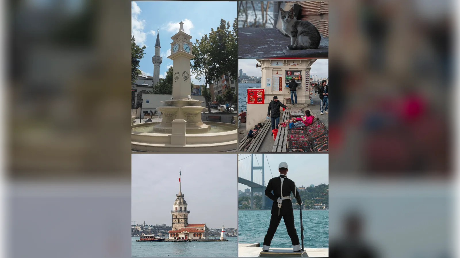 Üsküdar Belediyesi Başkanvekilliğini AK Parti'li Dündar Ziya Gültekin Kazandı