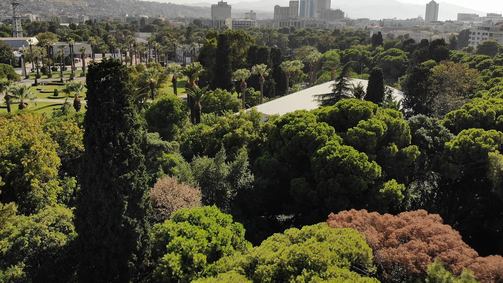 Kültürpark'ın yeşil alanlarından şehir silüeti ve yayla manzarası.