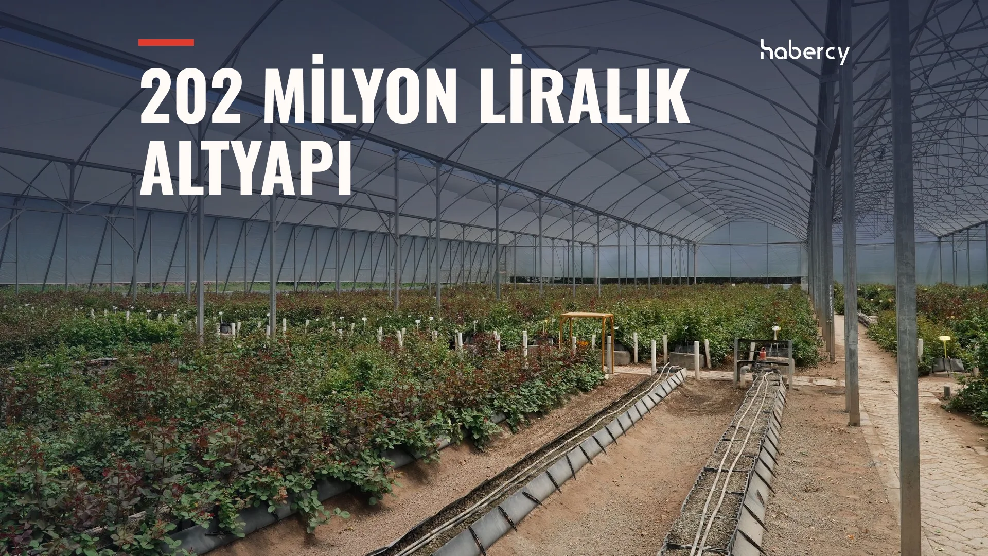 Silopi Sera OTB Açıldı: Bin Kişiye Doğrudan İstihdam Hedefleniyor — temsilî kapak görseli