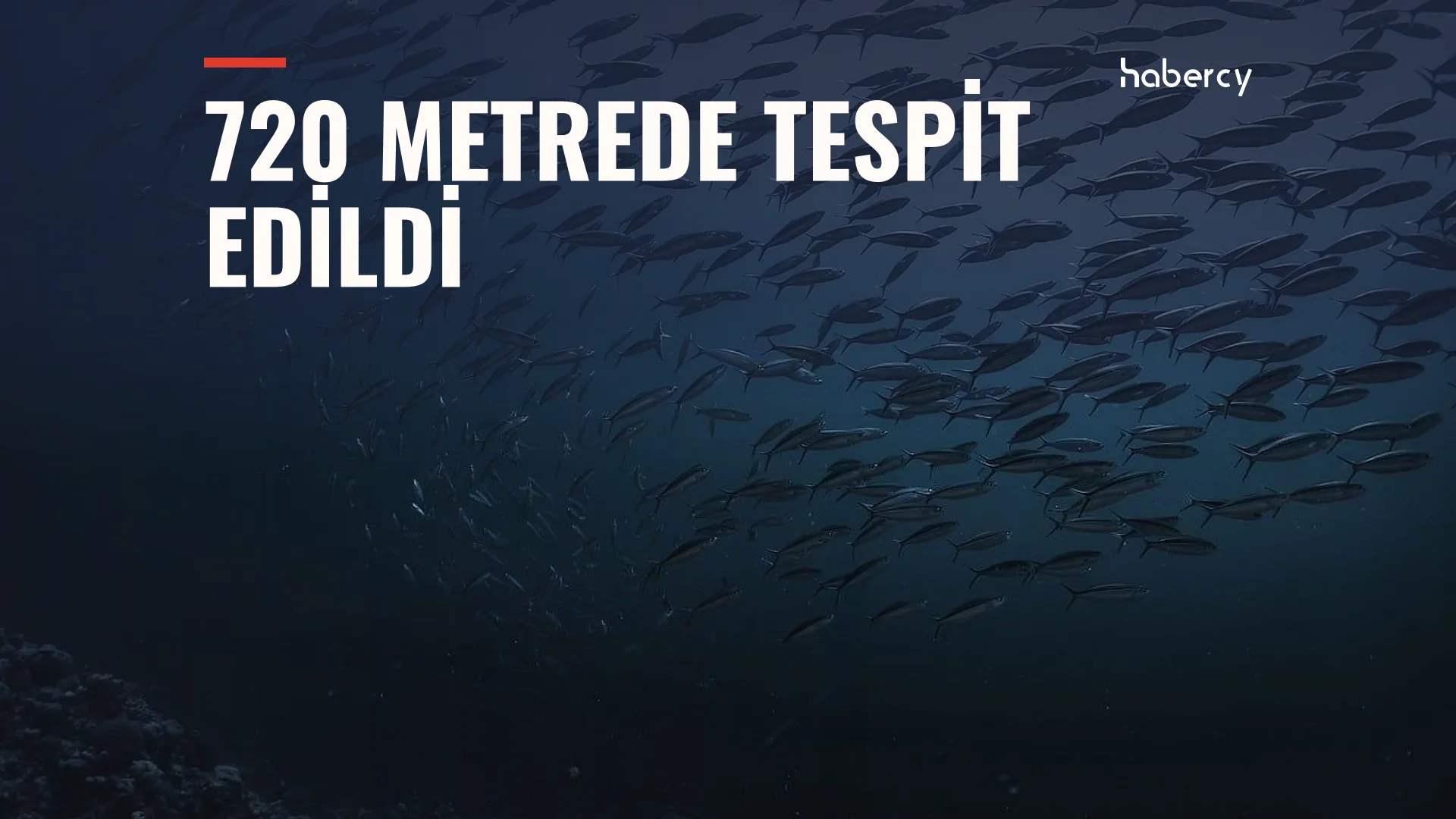 Marmara'da Batan Tuğberk İmamoğlu Gemisi 720 Metrede Bulundu — temsilî kapak görseli