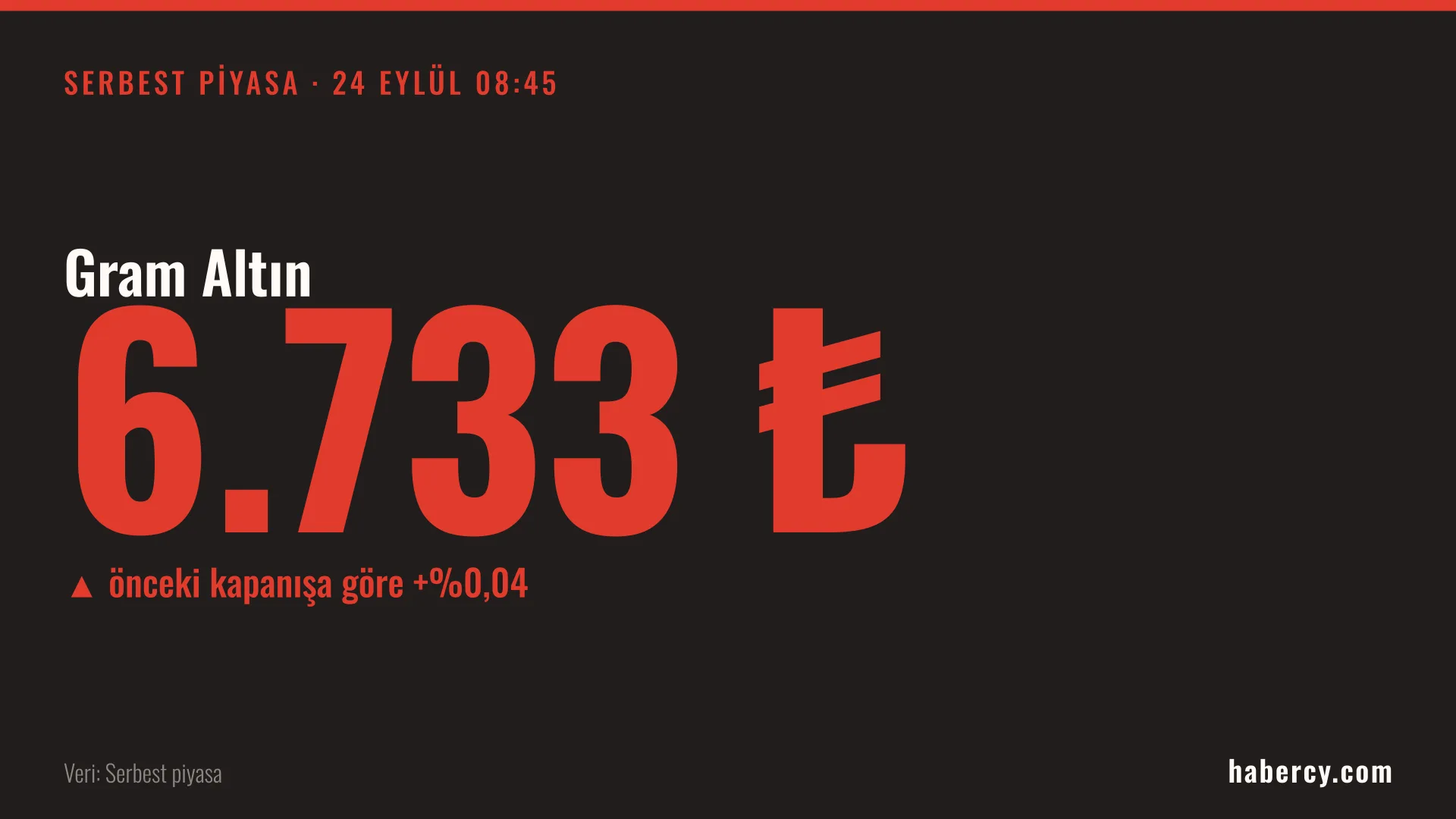 Siyah zemin üzerinde kırmızı yazılarla gram altın fiyatı 6.733 lira ve artış oranı gösteriliyor.