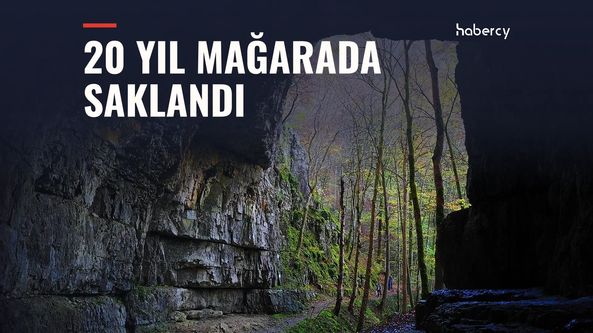 Ormanlık dağların eteğinde renkli çok katlı binalar ve minareli bir yerleşim
