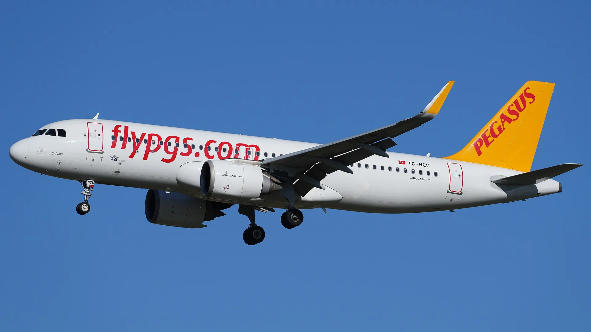Mavi gökyüzünde iniş takımları açık, sarı kuyruklu beyaz Pegasus yolcu uçağı