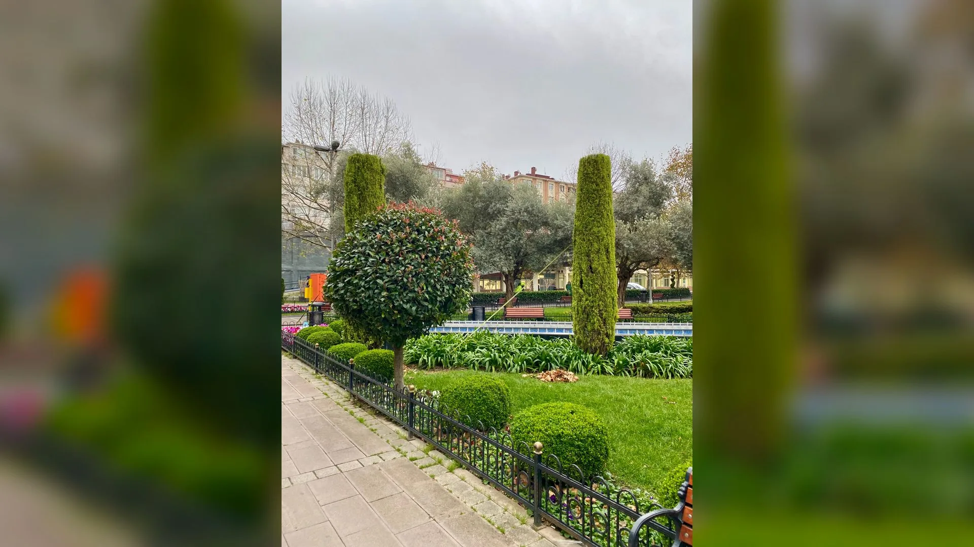 Budanmış ağaçlar, çimenlik ve demir çitle çevrili bir park yolu; arkada binalar