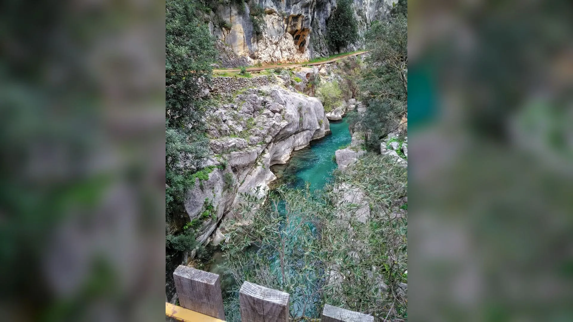 Kayalık kanyonun içinden akan turkuaz renkli dere, kenarda ağaçlar ve ahşap korkuluk