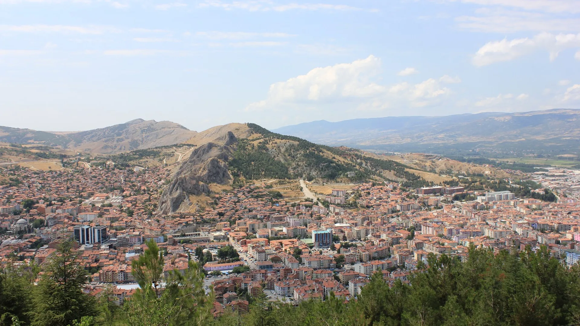 Tepeden bakışla dağların eteğine yayılmış kırmızı çatılı bir şehir, ön planda çam ağaçları