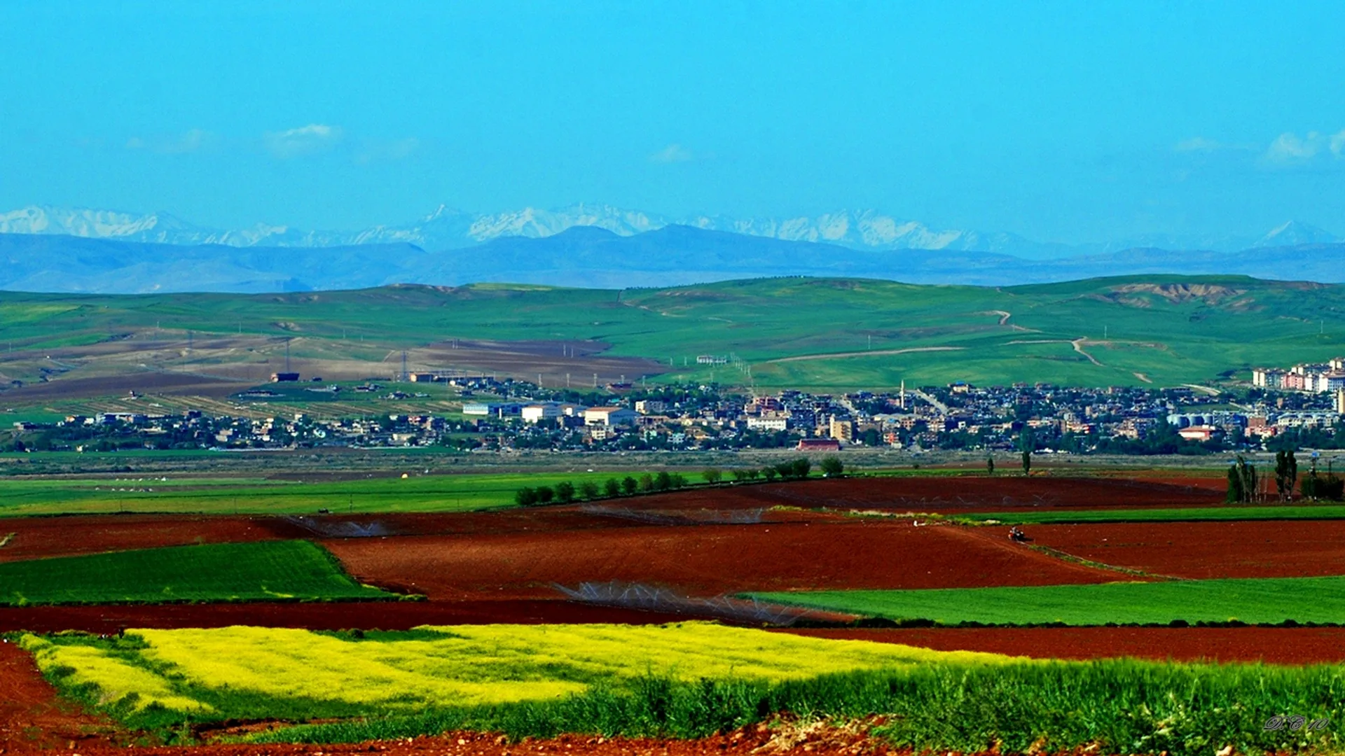 Kırmızı topraklı ve sarı çiçekli tarlaların ardında bir ilçe, arkada karlı dağlar