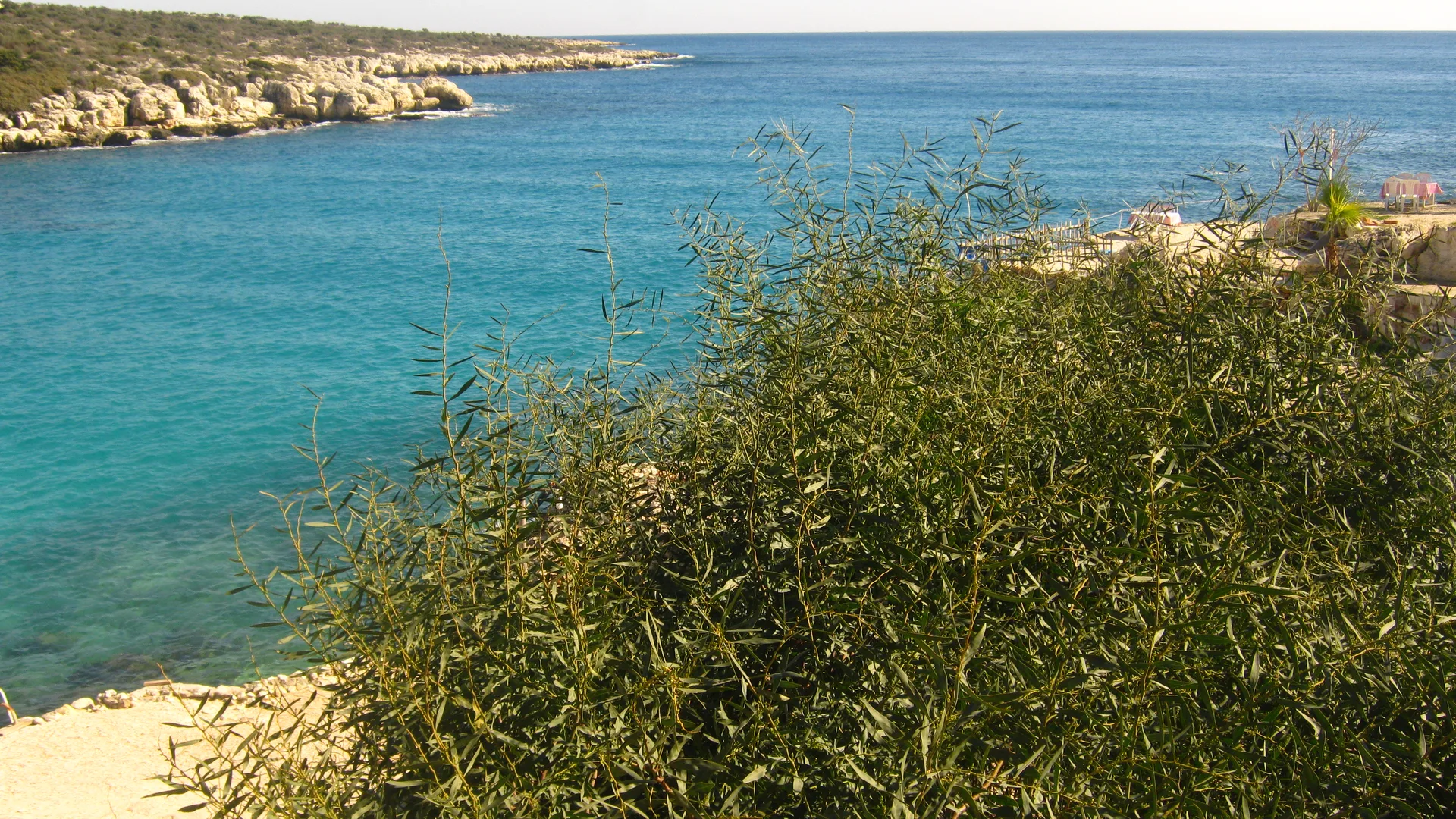 Kayalık koyda turkuaz deniz, ön planda yeşil çalılar