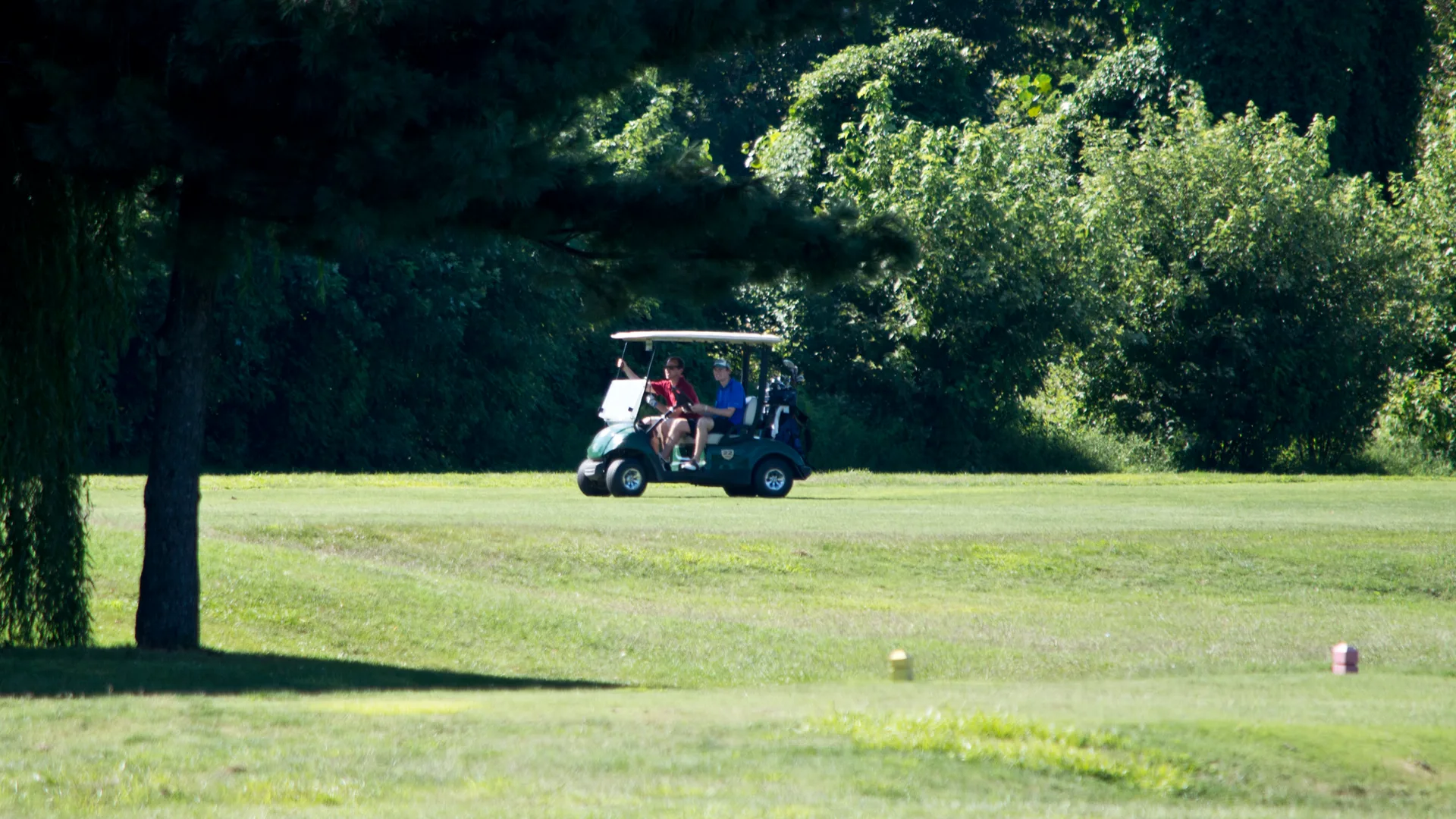 Ağaçlarla çevrili yeşil golf sahasında iki kişinin bindiği golf arabası