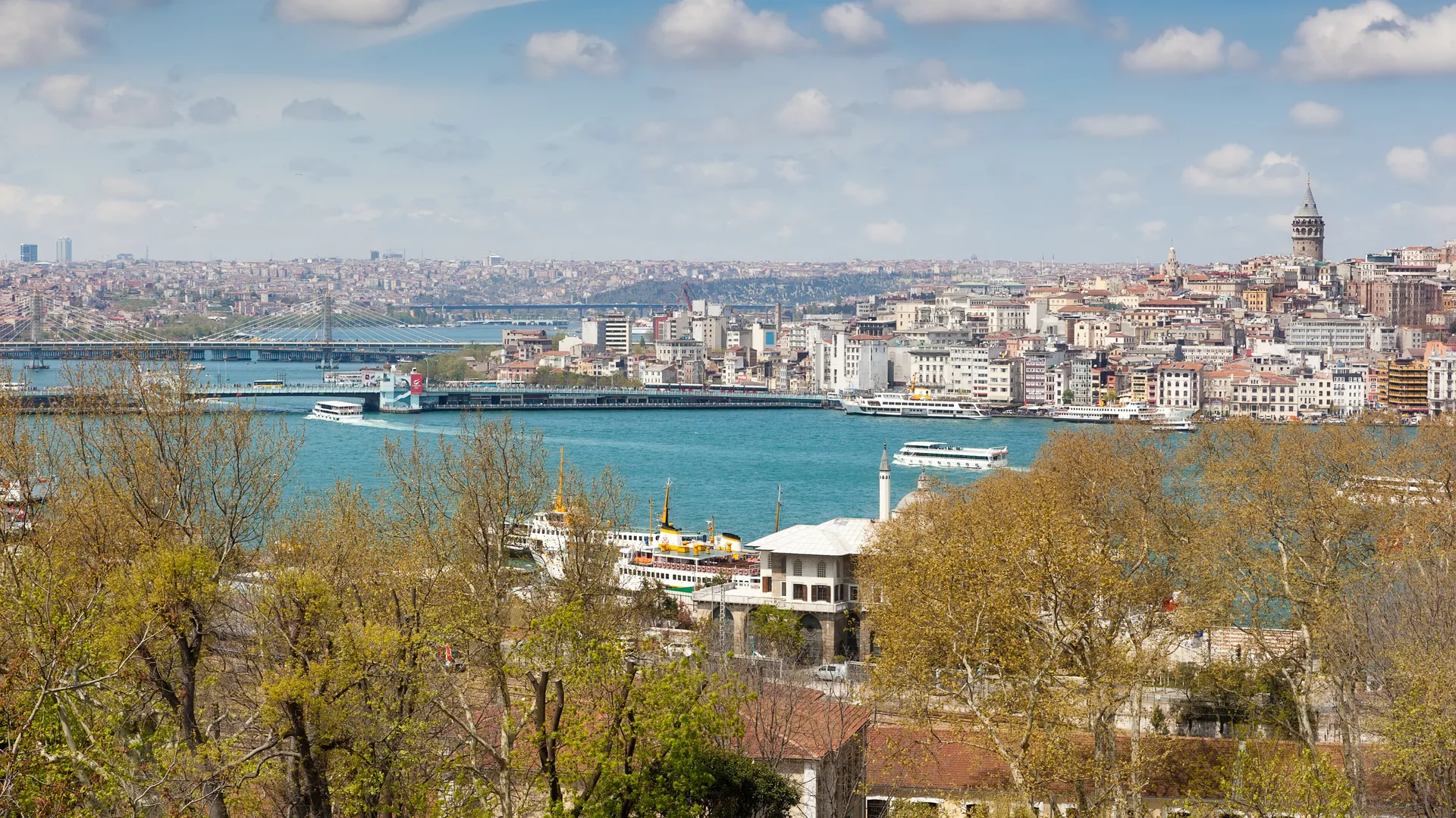 Ağaçların ardında vapurlar, köprüler ve Galata Kulesi'yle mavi bir haliç manzarası