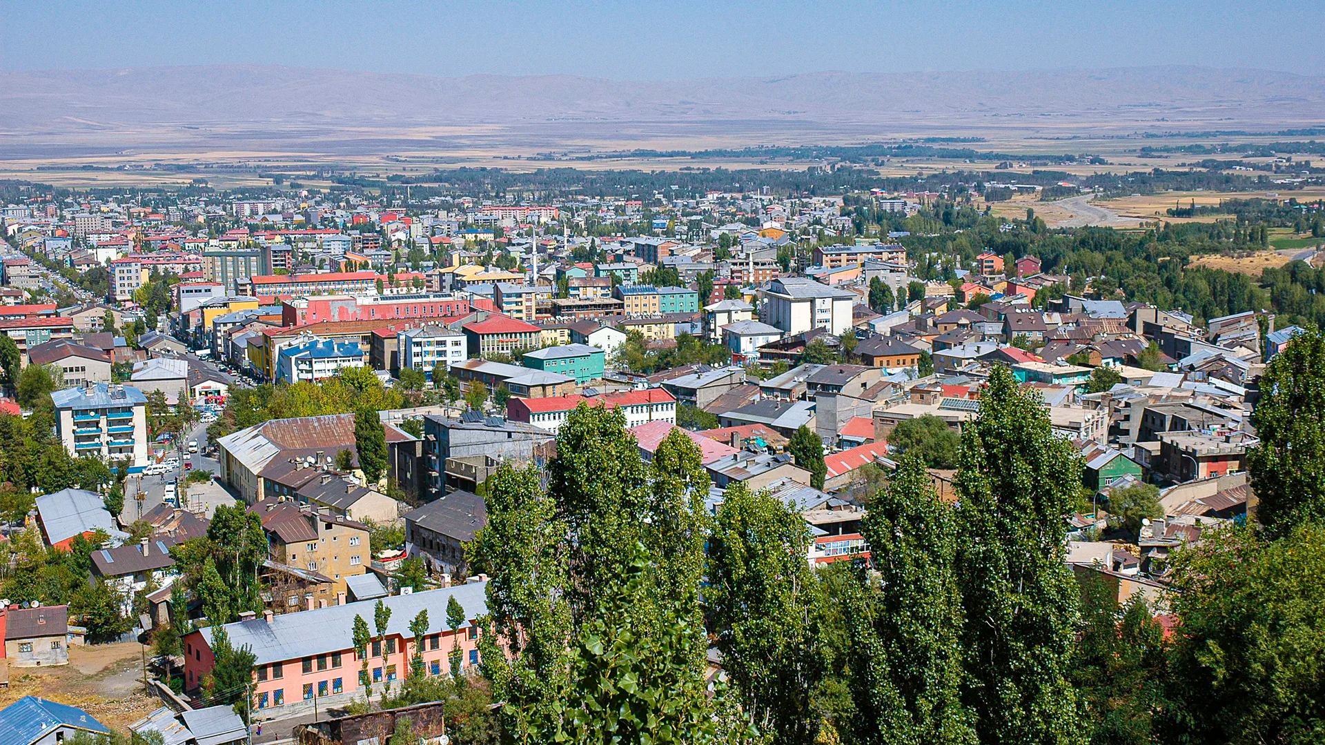 Ağaçların ardında renkli çatılı evlerle dolu, ovaya yayılan bir şehir manzarası