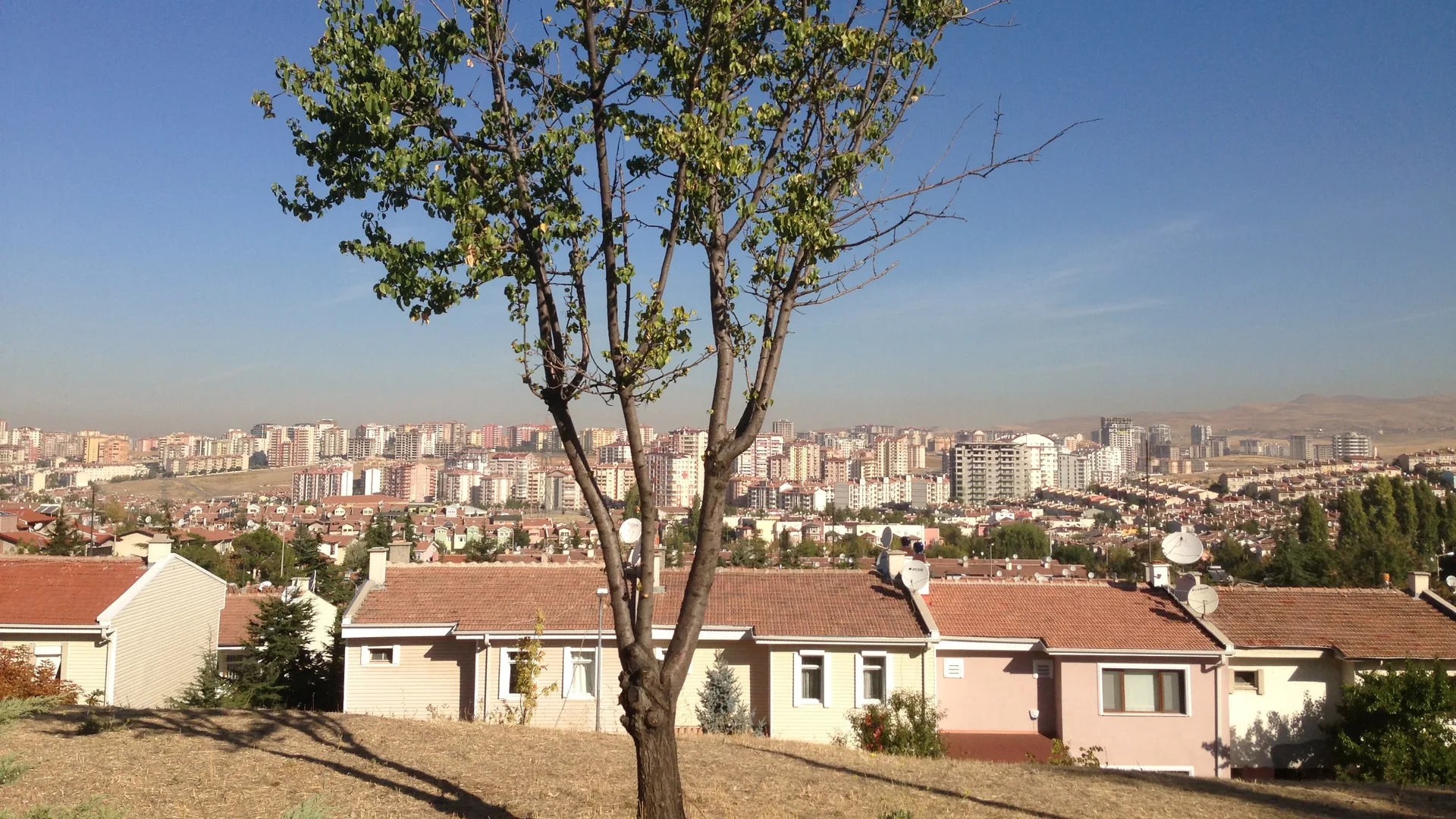 Ağaçlı bir yamaçtan kiremit çatılı evler ve arkada yüksek binalarla dolu şehir manzarası