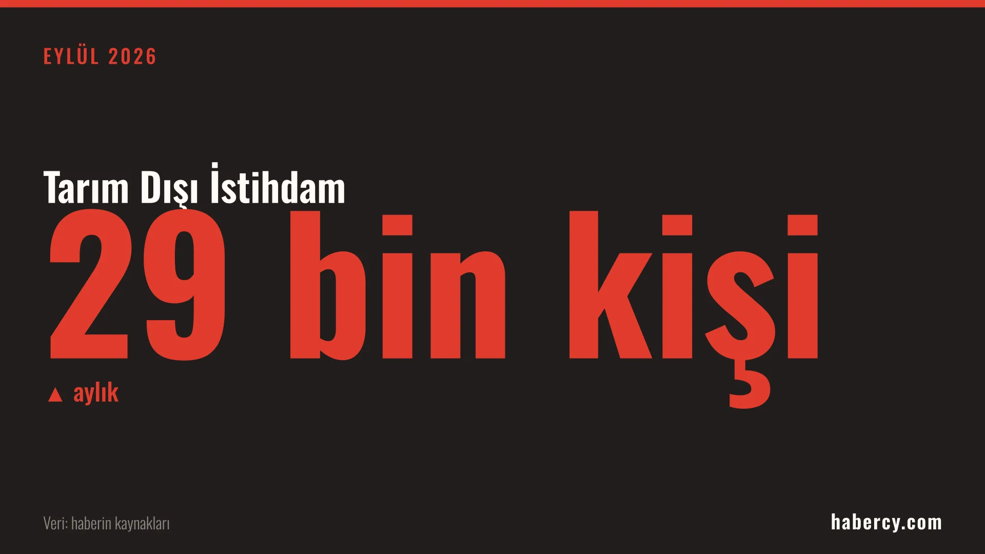 Siyah zemin üzerinde kırmızı büyük harflerle '29 bin kişi' yazan tarım dışı istihdam veri kartı