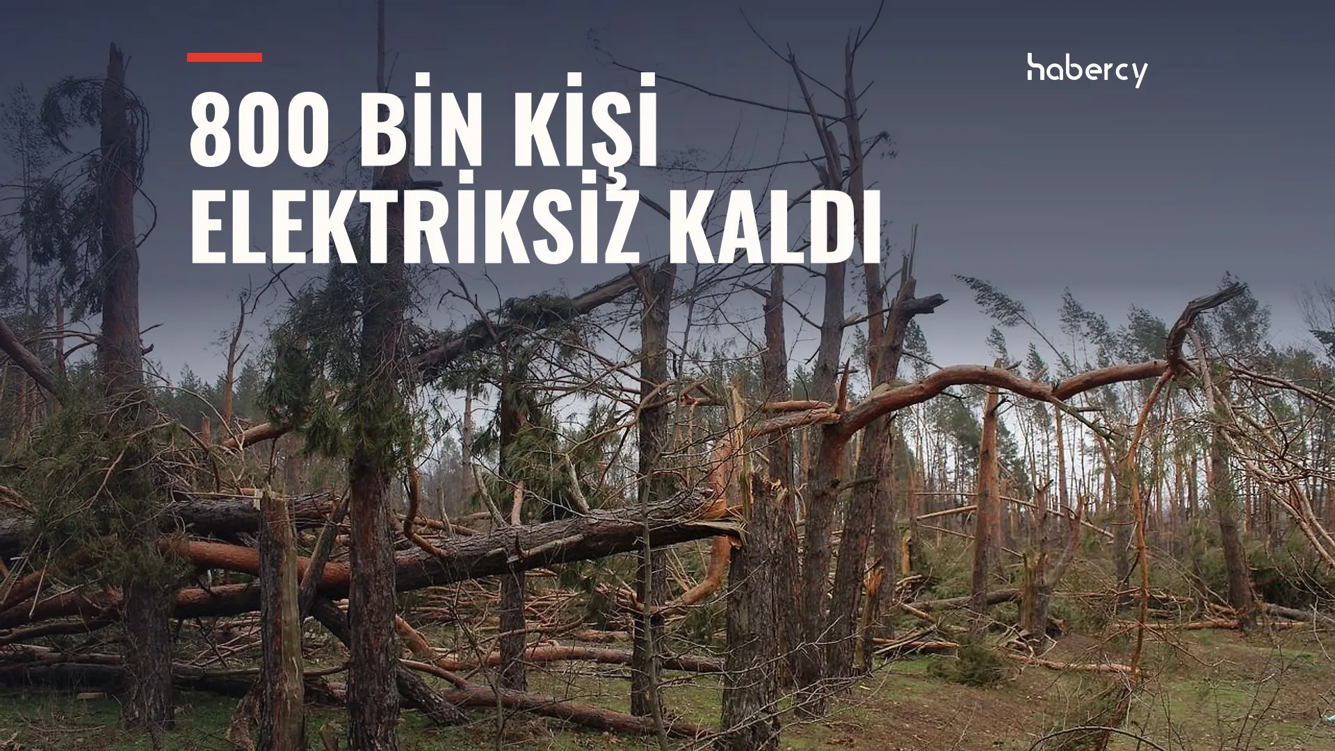 Fırtınada kırılıp devrilmiş çam ağaçlarıyla dolu orman, üstünde beyaz büyük harfli yazı