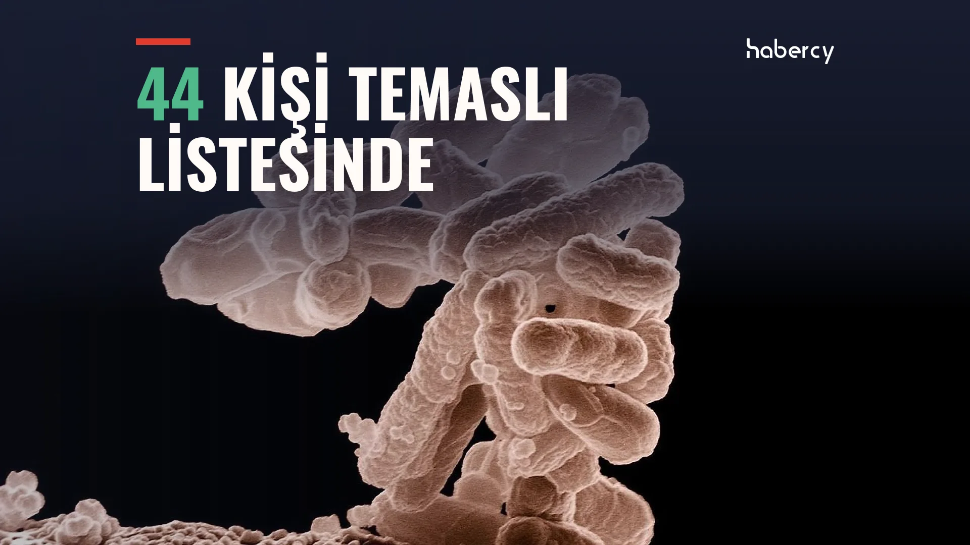 Koyu zemin üzerinde üst üste yığılmış çubuk biçimli mikroorganizmaların mikroskop görüntüsü