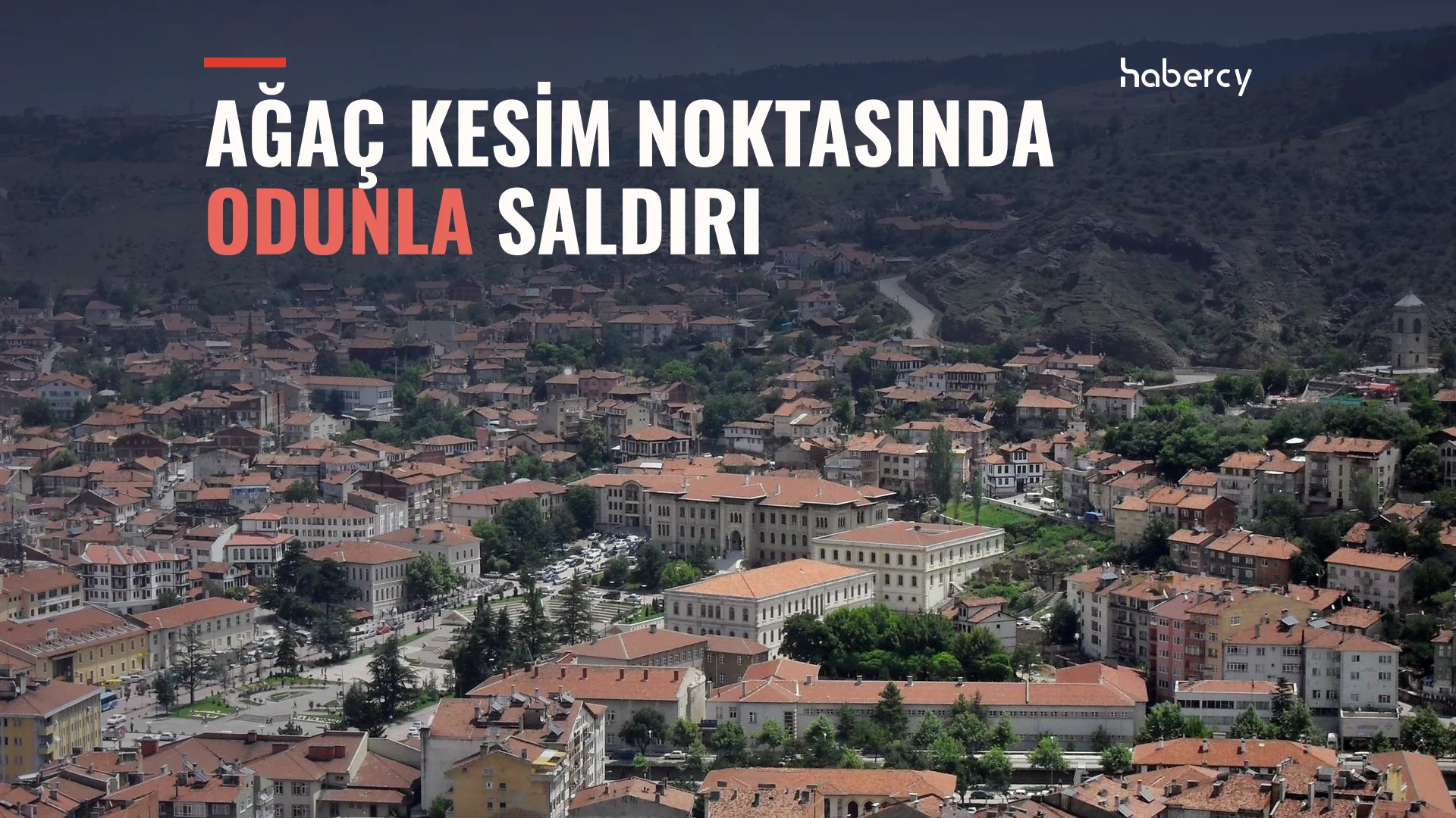 Tosya'da Köy Camisi İmamı Odunla Başına Vurularak Öldürüldü, Şüpheli Ormanda Yakalandı — temsilî kapak görseli