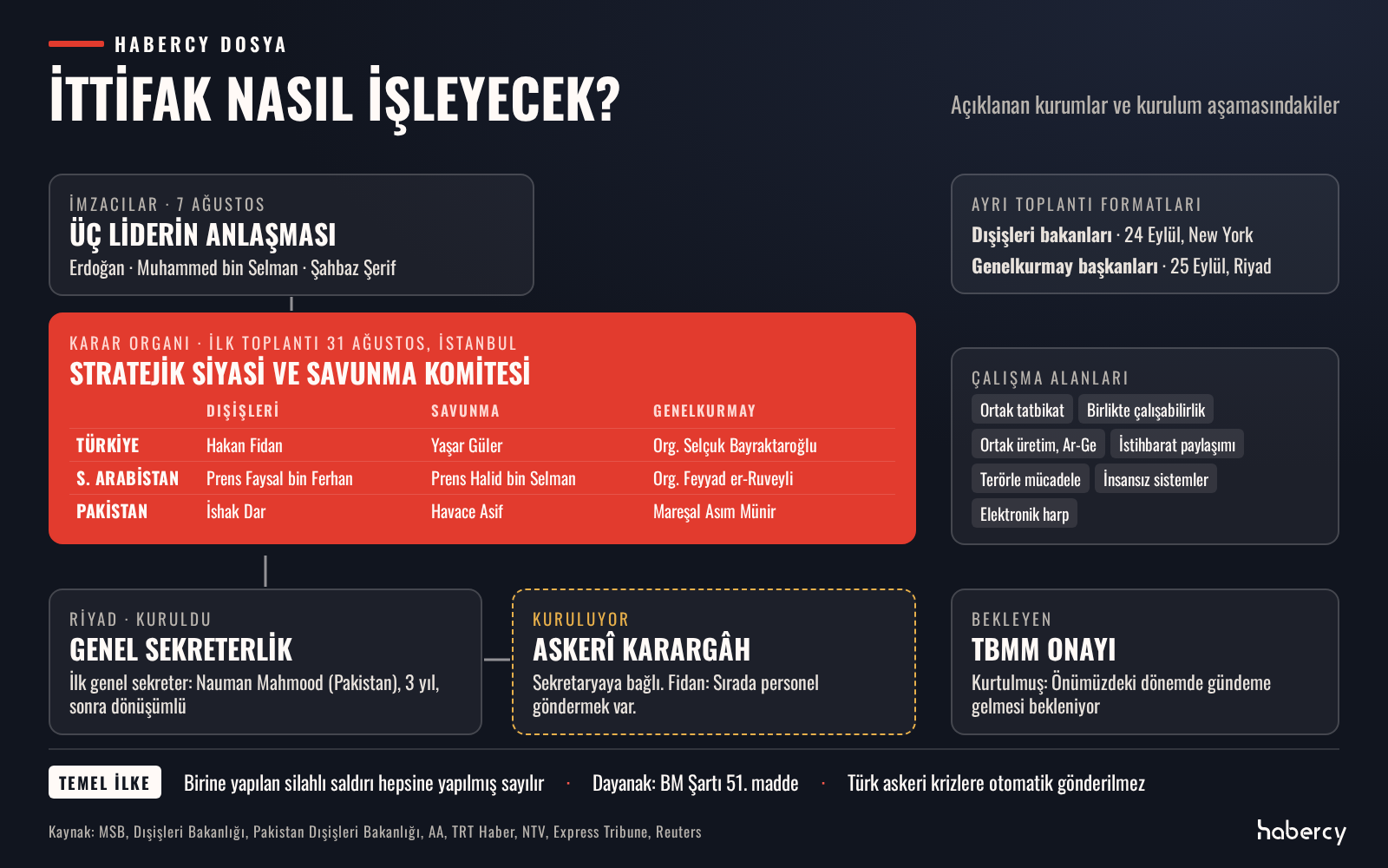 Şema: İmzacı liderler, dokuz üyeli Stratejik Siyasi ve Savunma Komitesi, Riyad'daki Genel Sekreterlik, kurulmakta olan askerî karargâh ve bekleyen TBMM onayı.